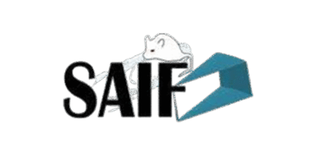 Untitled-1_0021_imgi_24_saif-300x300