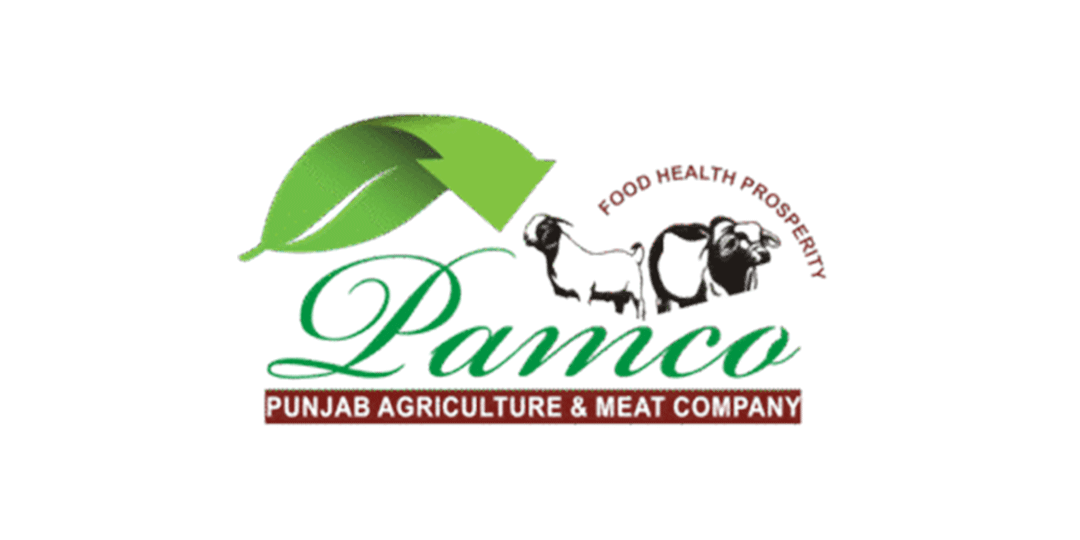 Untitled-1_0047_imgi_47_pamco-300x300